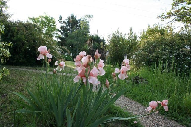 printemps antre des vices