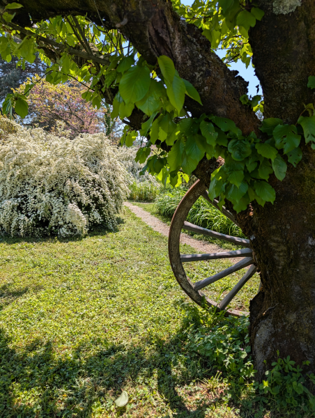 printemps antre des vices